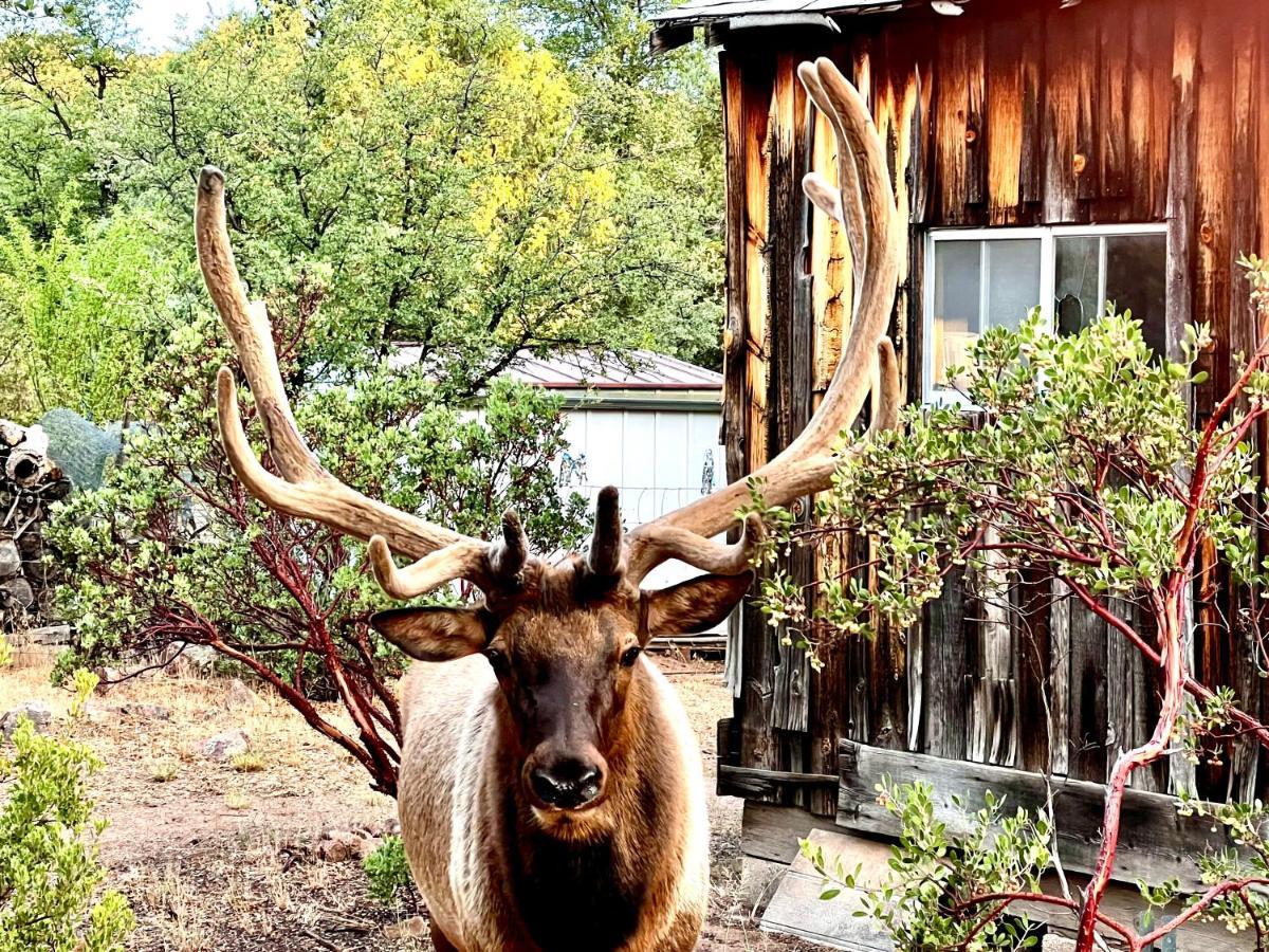 Villa Hidden Gem Retreat In The Heart Of Payson Exterior foto